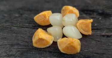 Posoqueria latifolia (Rudge) Schult.