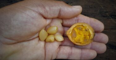 Posoqueria latifolia (Rudge) Schult.