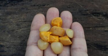 Posoqueria latifolia (Rudge) Schult.