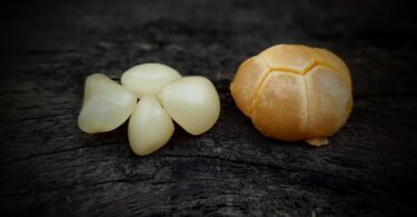 Posoqueria latifolia (Rudge) Schult.