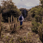 mateiro, viveirista florestal, coletores de sementes nativas