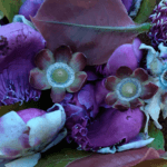 Flores da Sapucaia - Lecythis pisonis. Cambess.