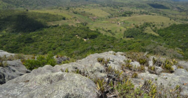 Reserva da Pedra Talhada