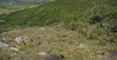 Reserva da Pedra Talhada