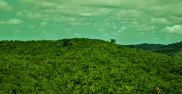 Reserva da Pedra Talhada