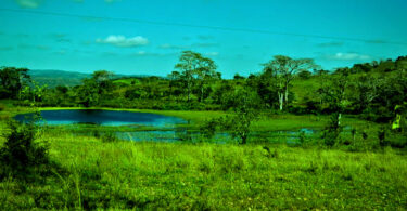 Reserva da Pedra Talhada