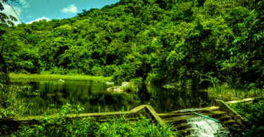 Reserva da Pedra Talhada