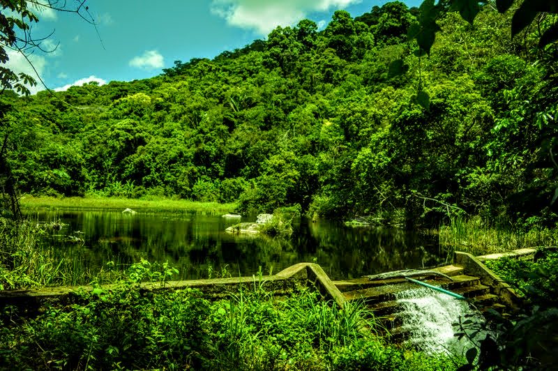 Reserva da Pedra Talhada