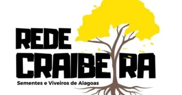 Rede Craibeiras de Sements e Mudas Florestaias